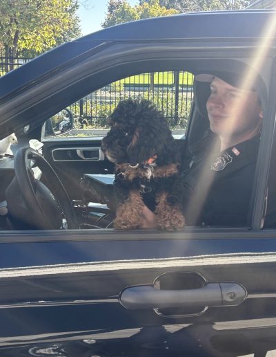 A police officer sits in the driver’s seat of a patrol car, smiling, with a small black and brown mini red poodle puppy on his lap. Sunlight shines through the window, illuminating the cheerful scene.